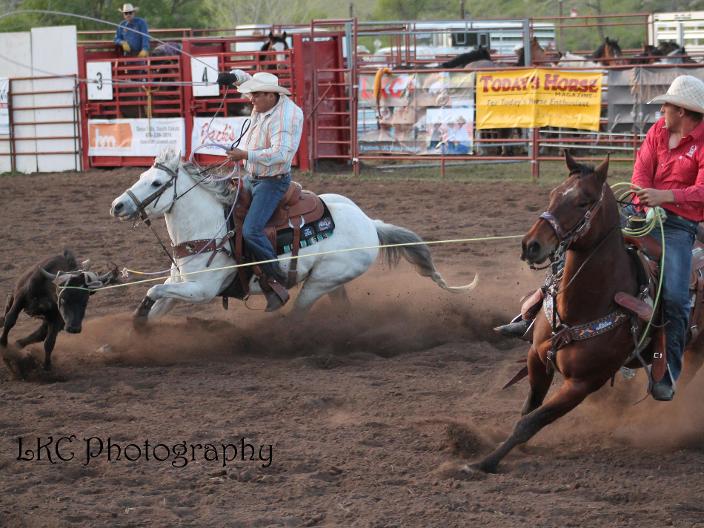 Team Roping Hart Ranch 2014